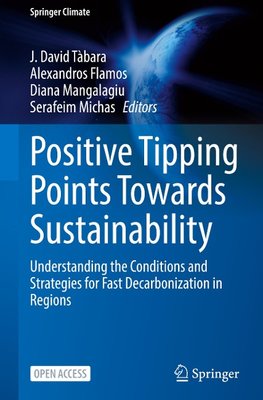 Positive Tipping Points Towards Sustainability