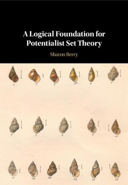 A Logical Foundation for Potentialist Set Theory