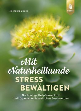 Mit Naturheilkunde Stress bewältigen