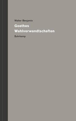 Werke und Nachlaß. Kritische Gesamtausgabe