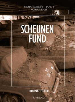 Scheunenfund