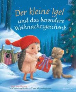 Der kleine Igel und das besondere Weihnachtsgeschenk