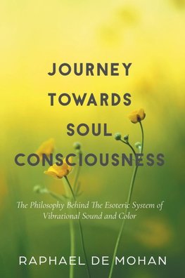 Journey Towards Soul Consciousness