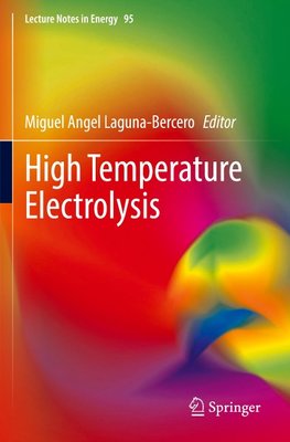 High Temperature Electrolysis