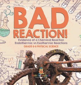 Bad Reaction! Evidence of a Chemical Reaction | Endothermic vs Exothermic Reactions | Grade 6-8 Physical Science