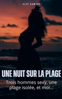 Une nuit sur la plage