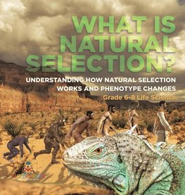 What is Natural Selection? Understanding How Natural Selection Works and Phenotype Changes | Grade 6-8 Life Science