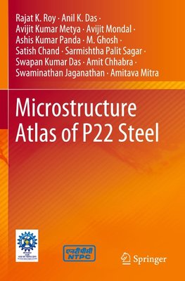 Microstructure Atlas of P22 Steel