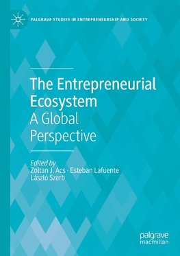 The Entrepreneurial Ecosystem