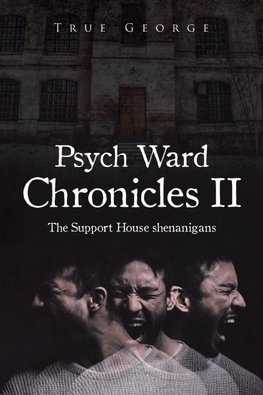 Psych Ward Chronicles II