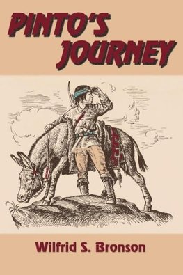 Pinto's Journey