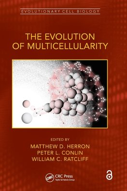 The Evolution of Multicellularity