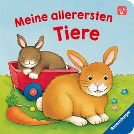 Meine allerersten Tiere: Kinderbuch ab 6 Monaten, Baby-Buch, Baby Geschenk