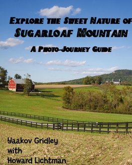 Explore the Sweet Nature of Sugarloaf Mountain