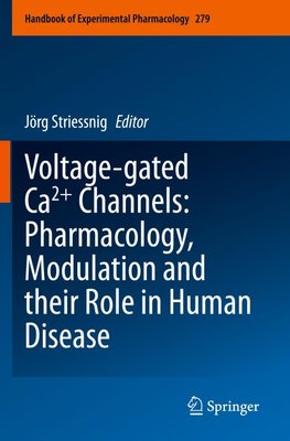 Voltage-gated Ca2+ Channels: Pharmacology, Modulation and their Role in Human Disease