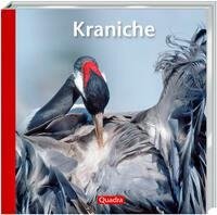 Kraniche