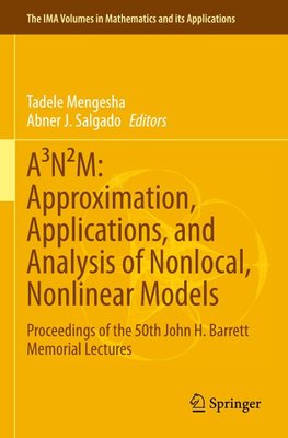 A³N²M: Approximation, Applications, and Analysis of Nonlocal, Nonlinear Models