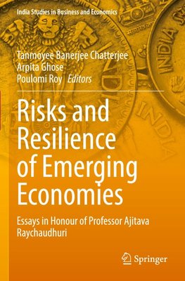 Risks and Resilience of Emerging Economies