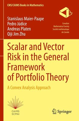 Scalar and Vector Risk in the General Framework of Portfolio Theory