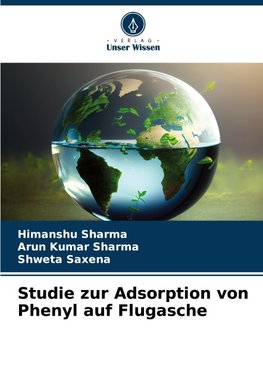 Studie zur Adsorption von Phenyl auf Flugasche