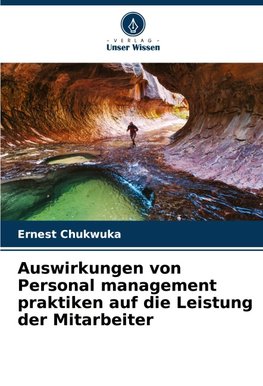 Auswirkungen von Personal management praktiken auf die Leistung der Mitarbeiter