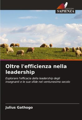 Oltre l'efficienza nella leadership