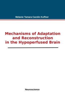 Mechanisms of Adaptation and Reconstruction in the Hypoperfused Brain