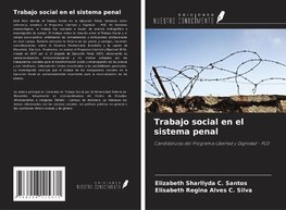 Trabajo social en el sistema penal