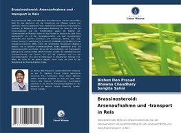 Brassinosteroid: Arsenaufnahme und -transport in Reis