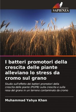 I batteri promotori della crescita delle piante alleviano lo stress da cromo sul grano