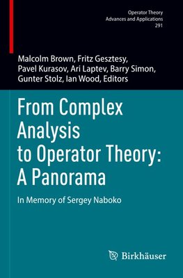 From Complex Analysis to Operator Theory: A Panorama