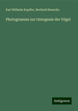 Photogramme zur Ontogenie der Vögel