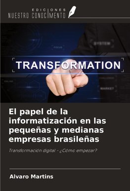 El papel de la informatización en las pequeñas y medianas empresas brasileñas