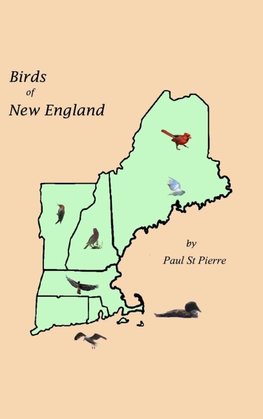 Birds of New England