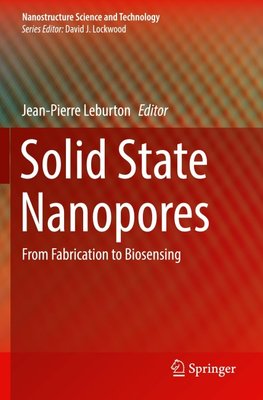 Solid State Nanopores