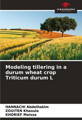 Modeling tillering in a durum wheat crop Triticum durum L