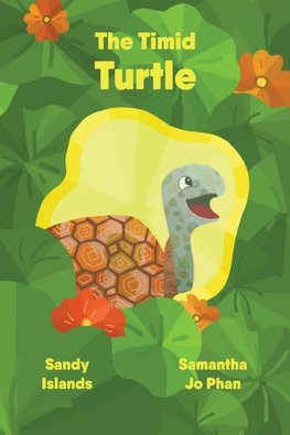 The Timid Turtle