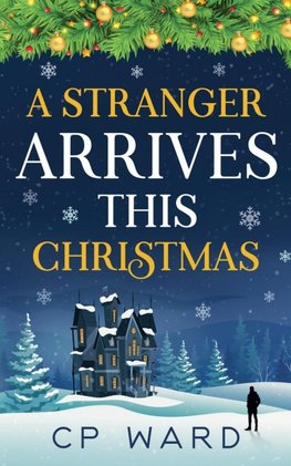 A Stranger Arrives This Christmas