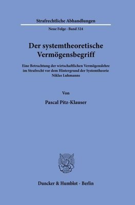 Der systemtheoretische Vermögensbegriff