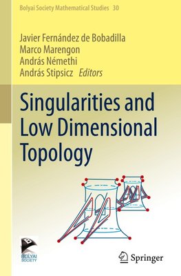 Singularities and Low Dimensional Topology