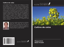 Cultivo de colza