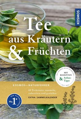 Tee aus Kräutern und Früchten