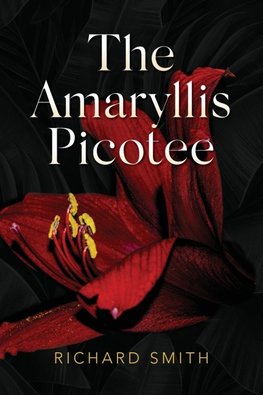 The Amaryllis Picotee