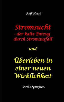 Stromsucht - der kalte Entzug durch Stromausfall und Überleben in einer neuen Wirklichkeit: Weltweite Flutkatastrophe, Klimawandel, Meteoriteneinschlag, Permakultur, Autismus, versunkene Städte