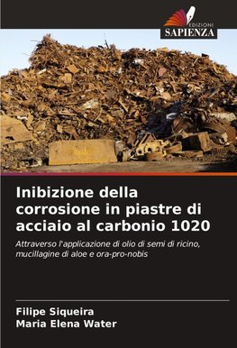 Inibizione della corrosione in piastre di acciaio al carbonio 1020