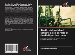 Studio dei problemi causati dalla perdita di fluidi di perforazione