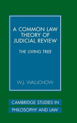 A Common Law Theory of Judicial Review