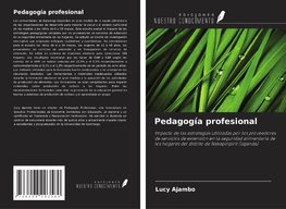 Pedagogía profesional