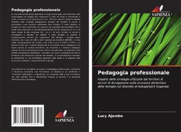 Pedagogia professionale