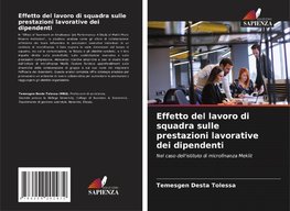 Effetto del lavoro di squadra sulle prestazioni lavorative dei dipendenti